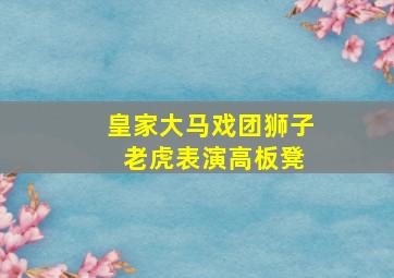 皇家大马戏团狮子 老虎表演高板凳